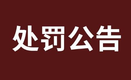 2024年招标投标法释义:第六十三条的内容、主旨及释义