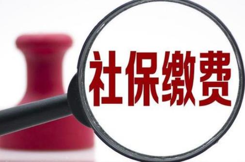 机关事业单位社保缴费标准2026年